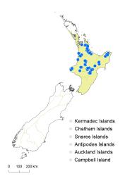 Veronica corriganii distribution map based on databased records at AK, CHR & WELT.
 Image: K.Boardman © Landcare Research 2022 CC-BY 4.0